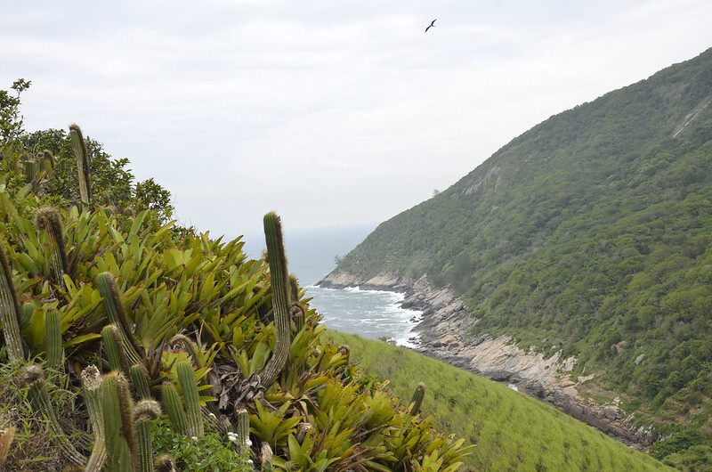 Trilha para praias selvagens