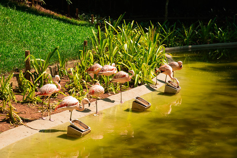 BioParque do Rio