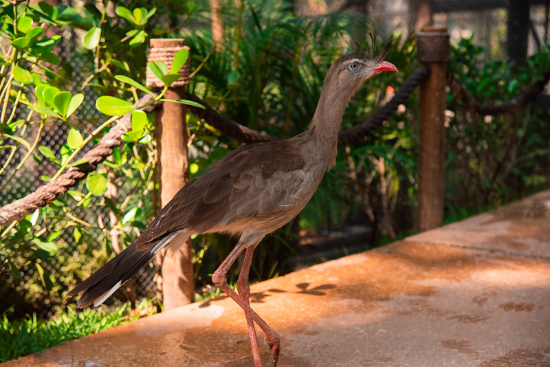 BioParque do Rio